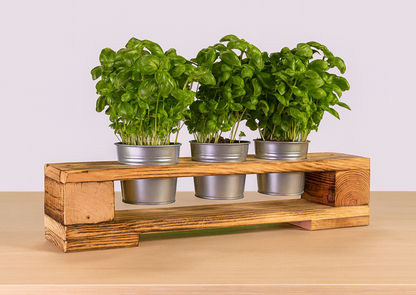 Europaletten Kräuterregal mit Zinktöpfen