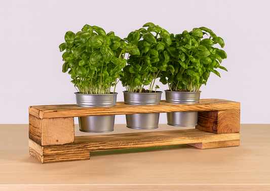 Europaletten Kräuterregal mit Zinktöpfen