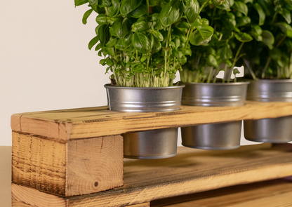 Europaletten Kräuterregal mit Zinktöpfen